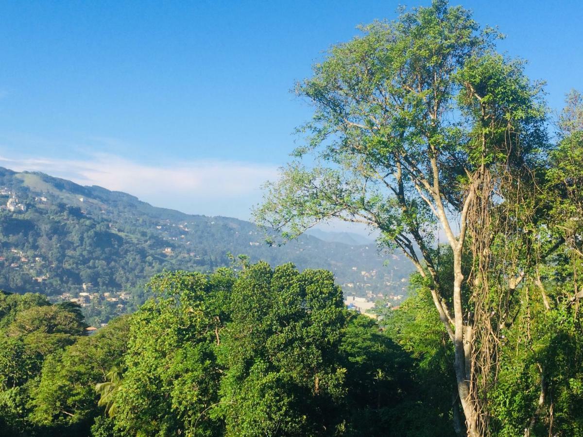 Selyna Sky Terrace Panzió Kandy Kültér fotó