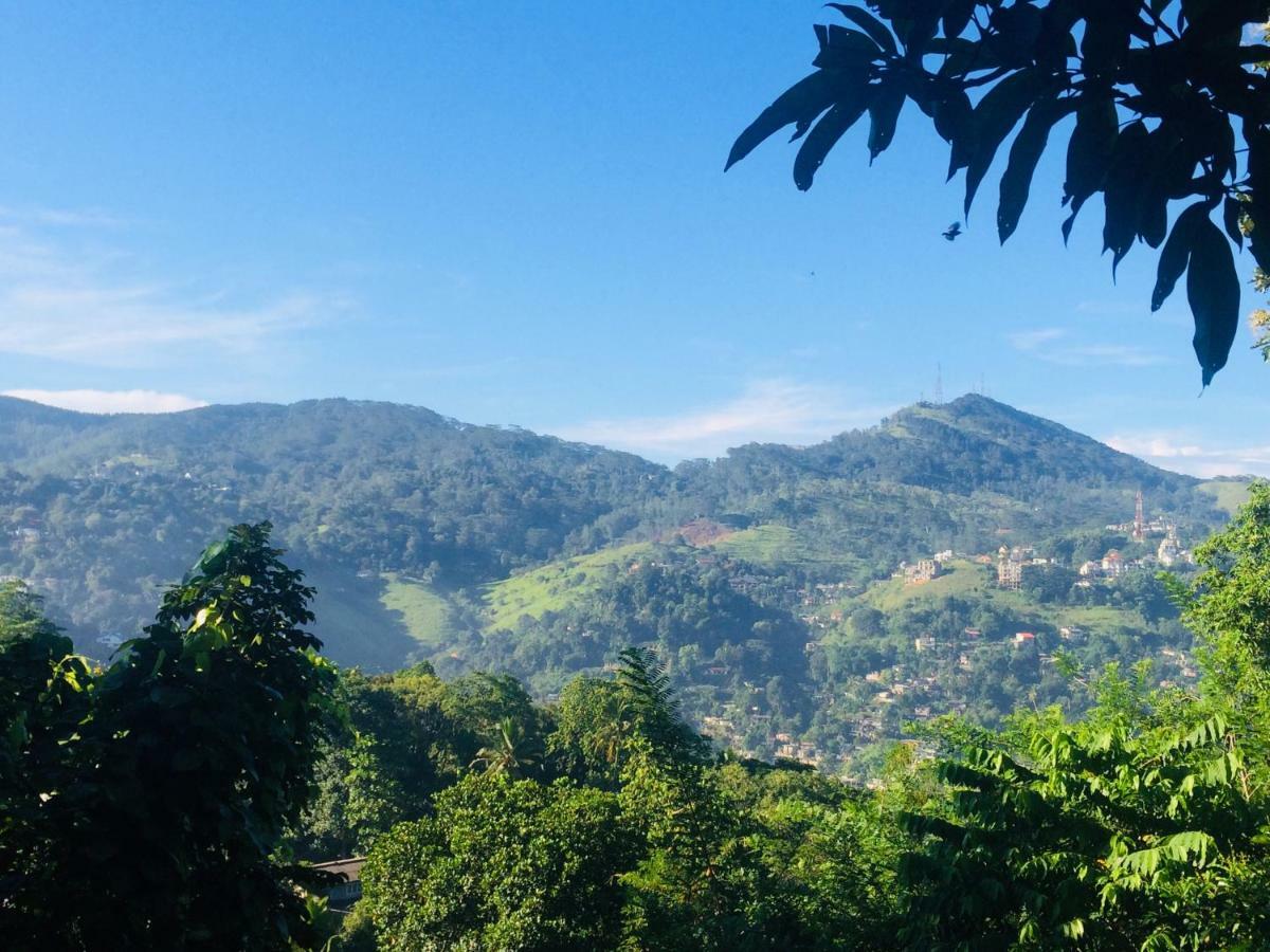 Selyna Sky Terrace Panzió Kandy Kültér fotó