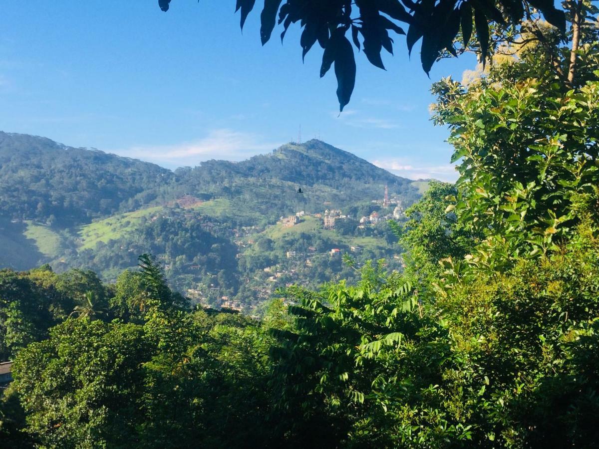 Selyna Sky Terrace Panzió Kandy Kültér fotó