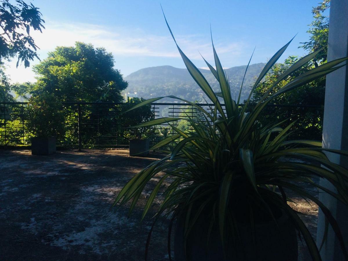 Selyna Sky Terrace Panzió Kandy Kültér fotó